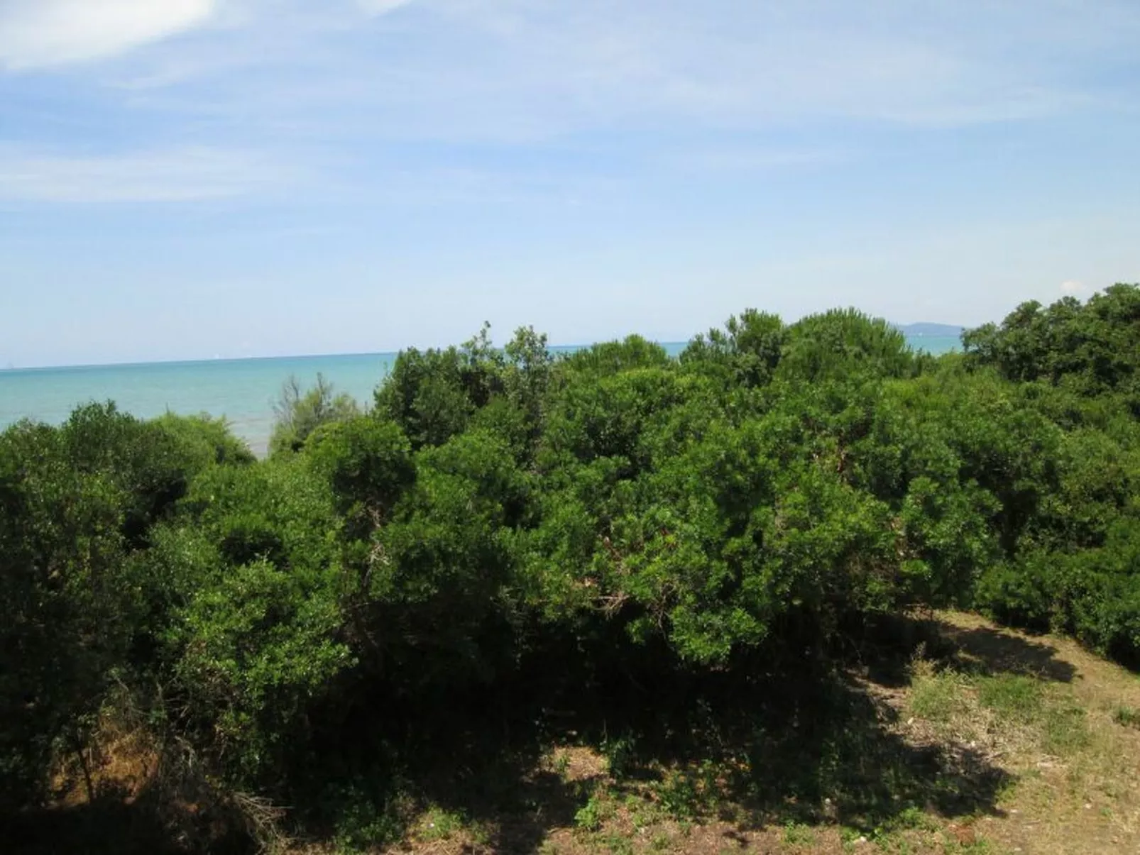 Giannella Holiday Apartment - Image-tags.info