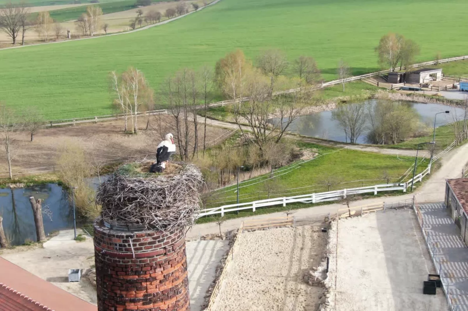 TH2 - Gebieden zomer 1km