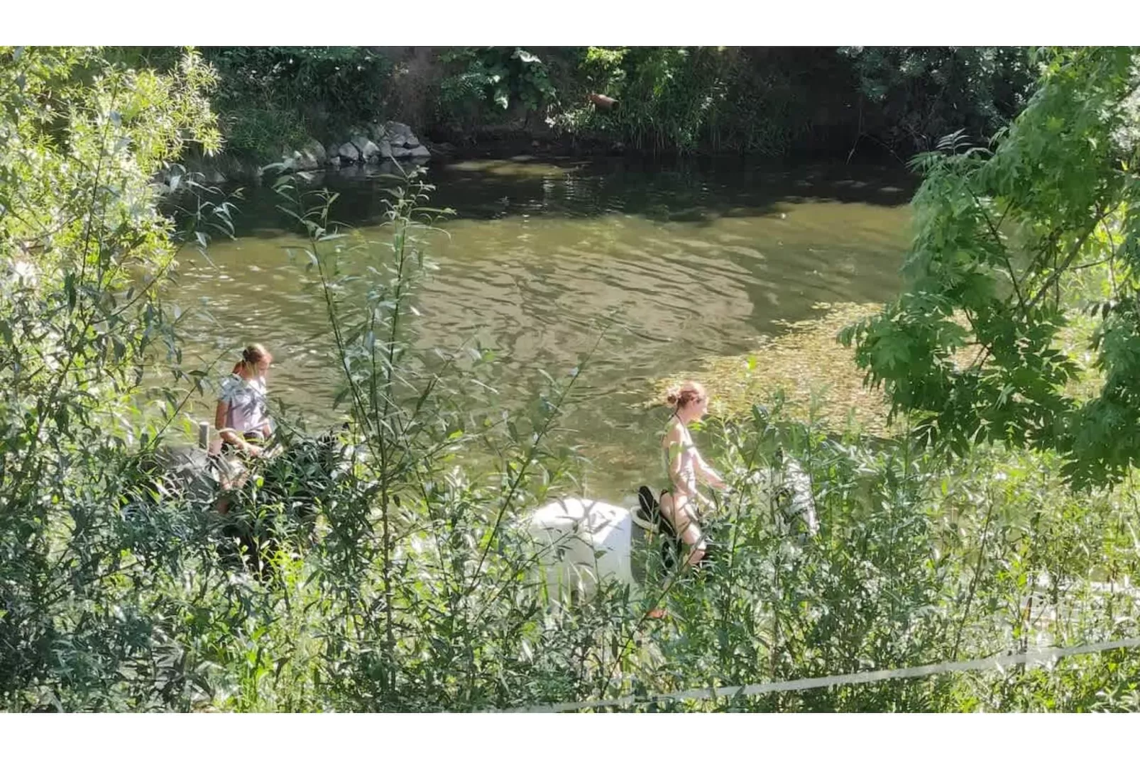 TH3 1P 40€(5) Schulz - Gebieden zomer 1km