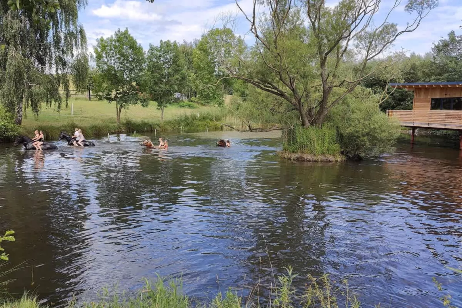 TH2 - Gebied winter 1km