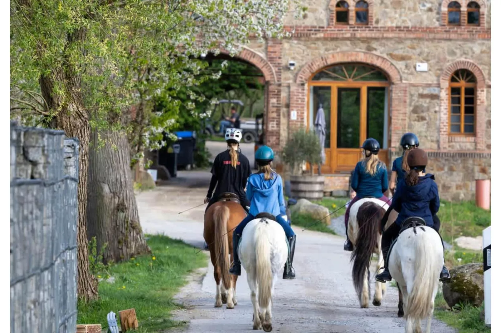 TH1 4P+20€(5) Immer - Gebieden zomer 1km