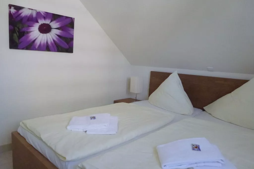 56579 - Niet-getagd