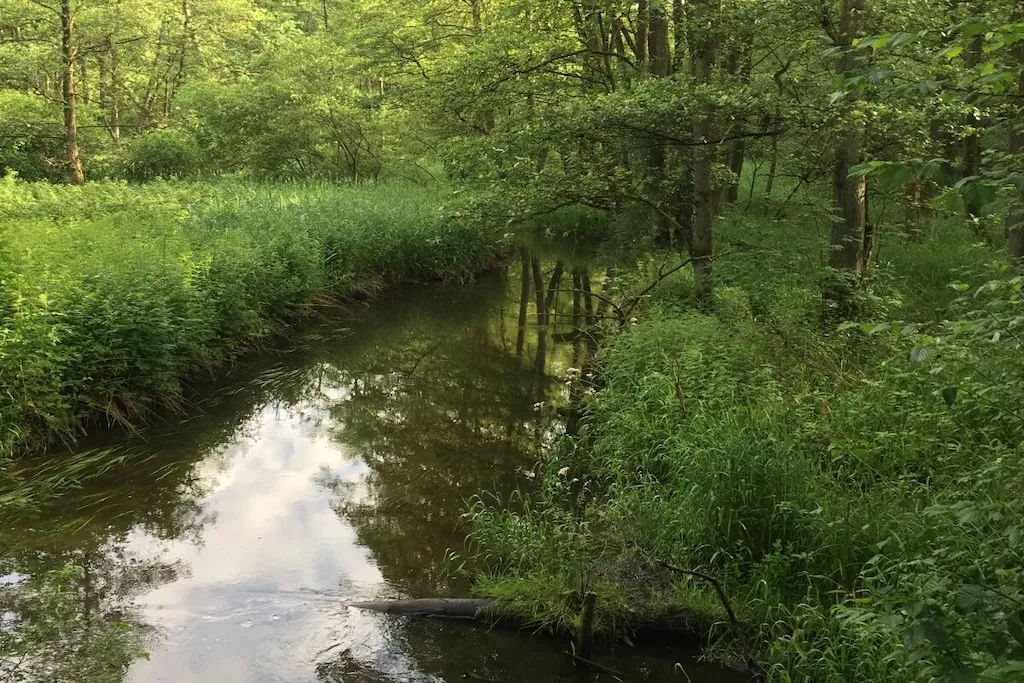 85184 - Niet-getagd