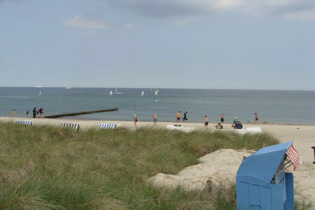 74063 - Niet-getagd