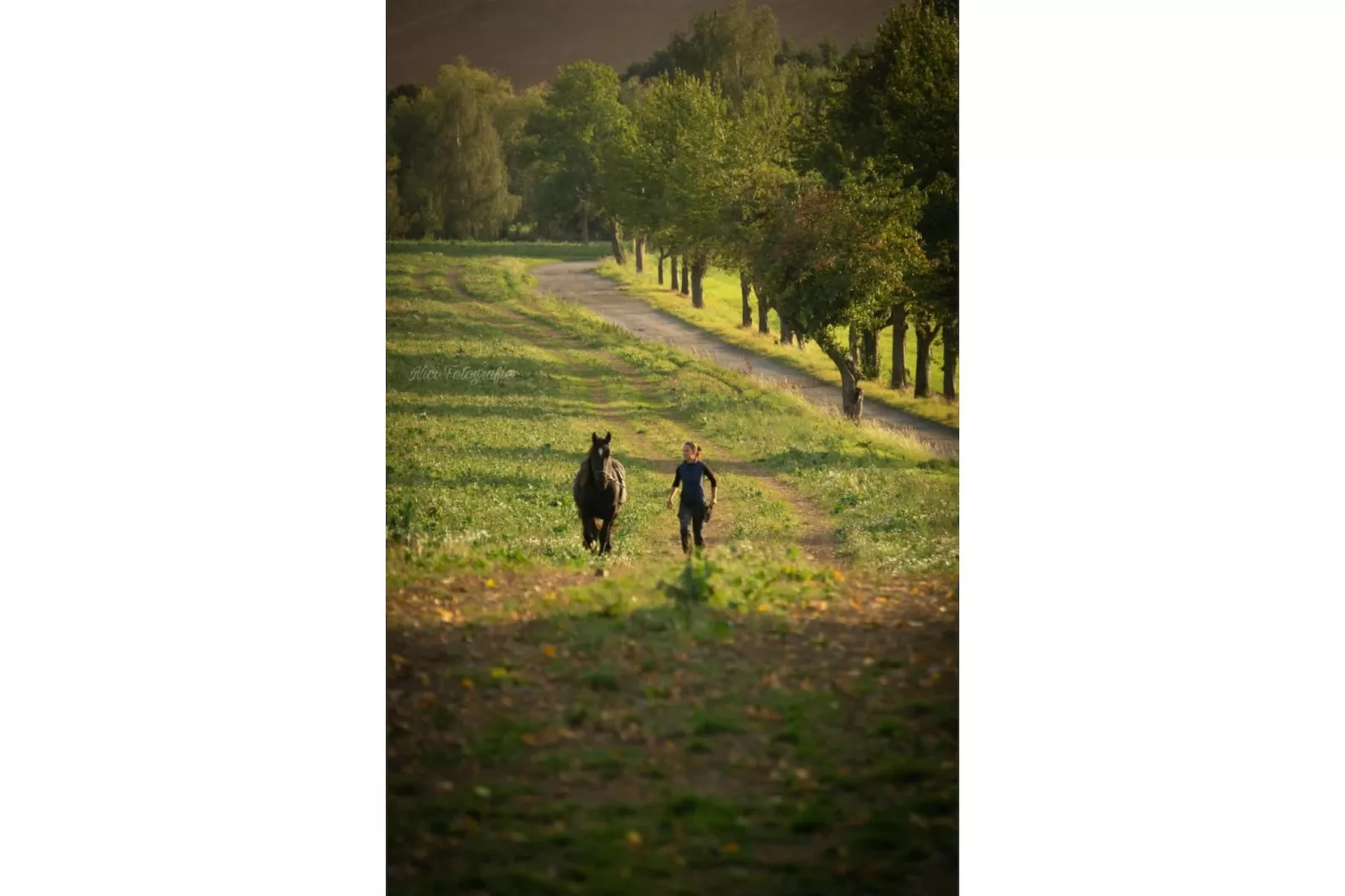 TH1 4P+20€(5) Immer - Gebieden zomer 1km