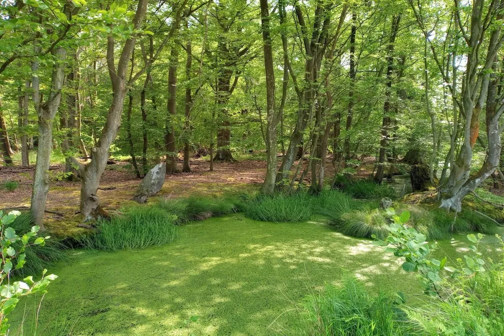 744271 - Niet-getagd