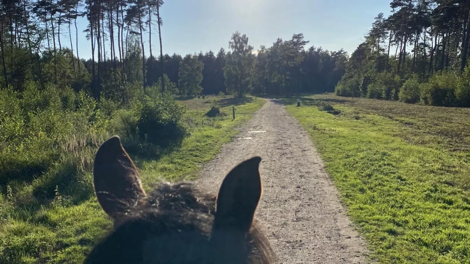 Huuske 16 - Gebieden zomer 1km