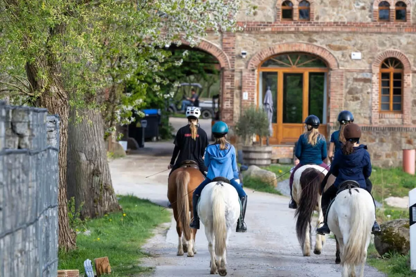 TH1 4P+20€(5) Immer - Gebieden zomer 1km