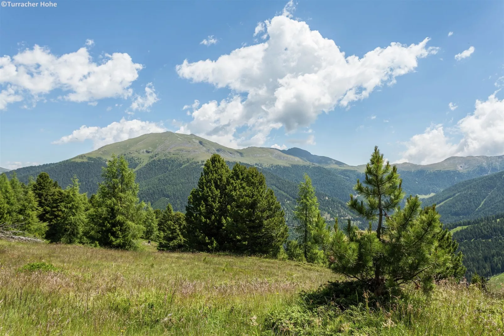 Alpenpark Turrach Apartments 3-Gebieden zomer 1km