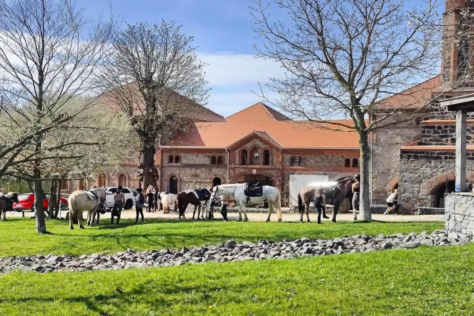 TH1 4P+20€(5) Immer - Gebieden zomer 1km