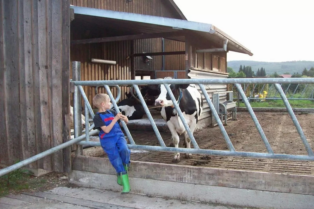 53478 - Niet-getagd