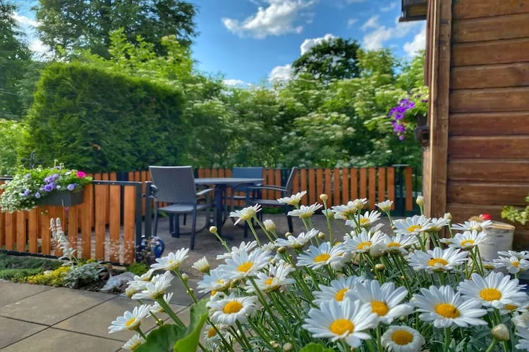 311181 - Terras