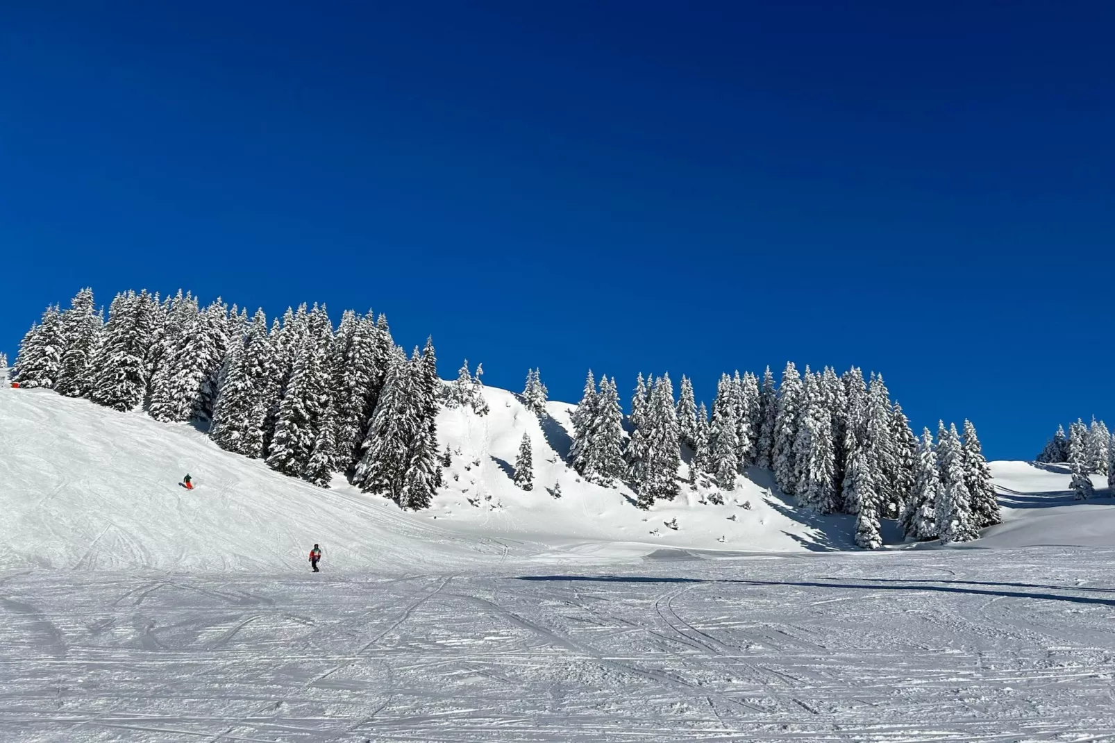 Genieten in Saalbach Top D1 - Gebied winter 5km