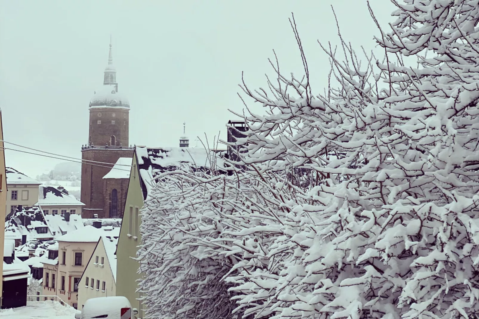 311181 - Gebied winter 1km