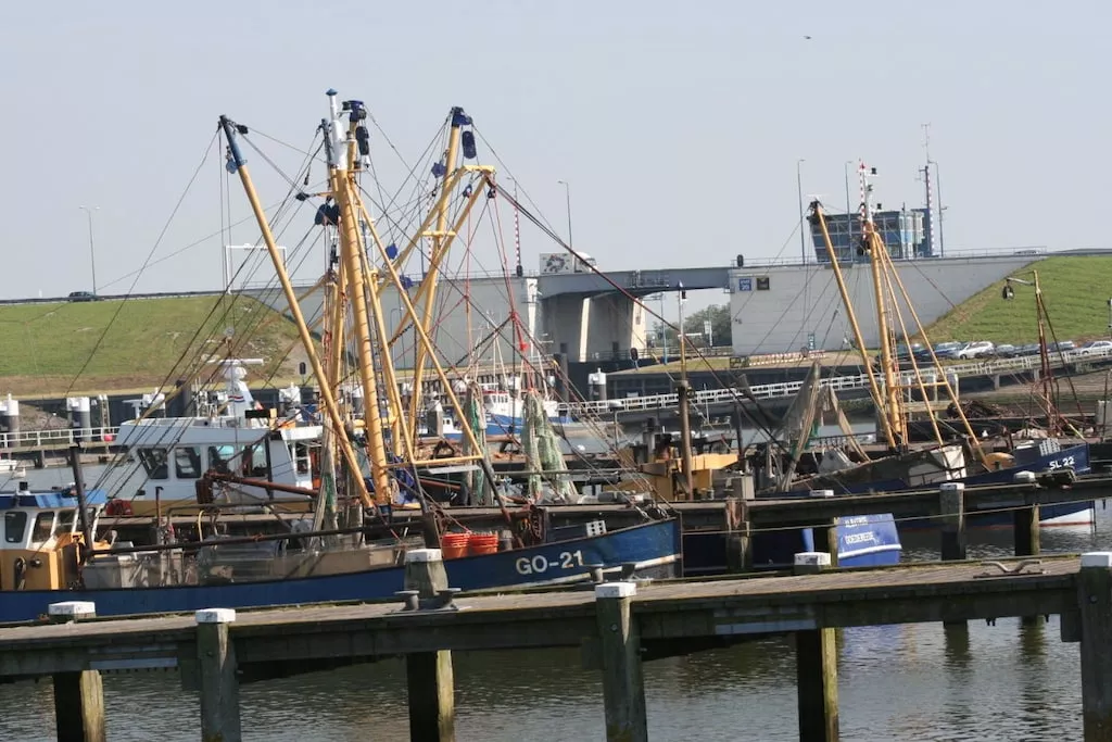 245440 - Niet-getagd