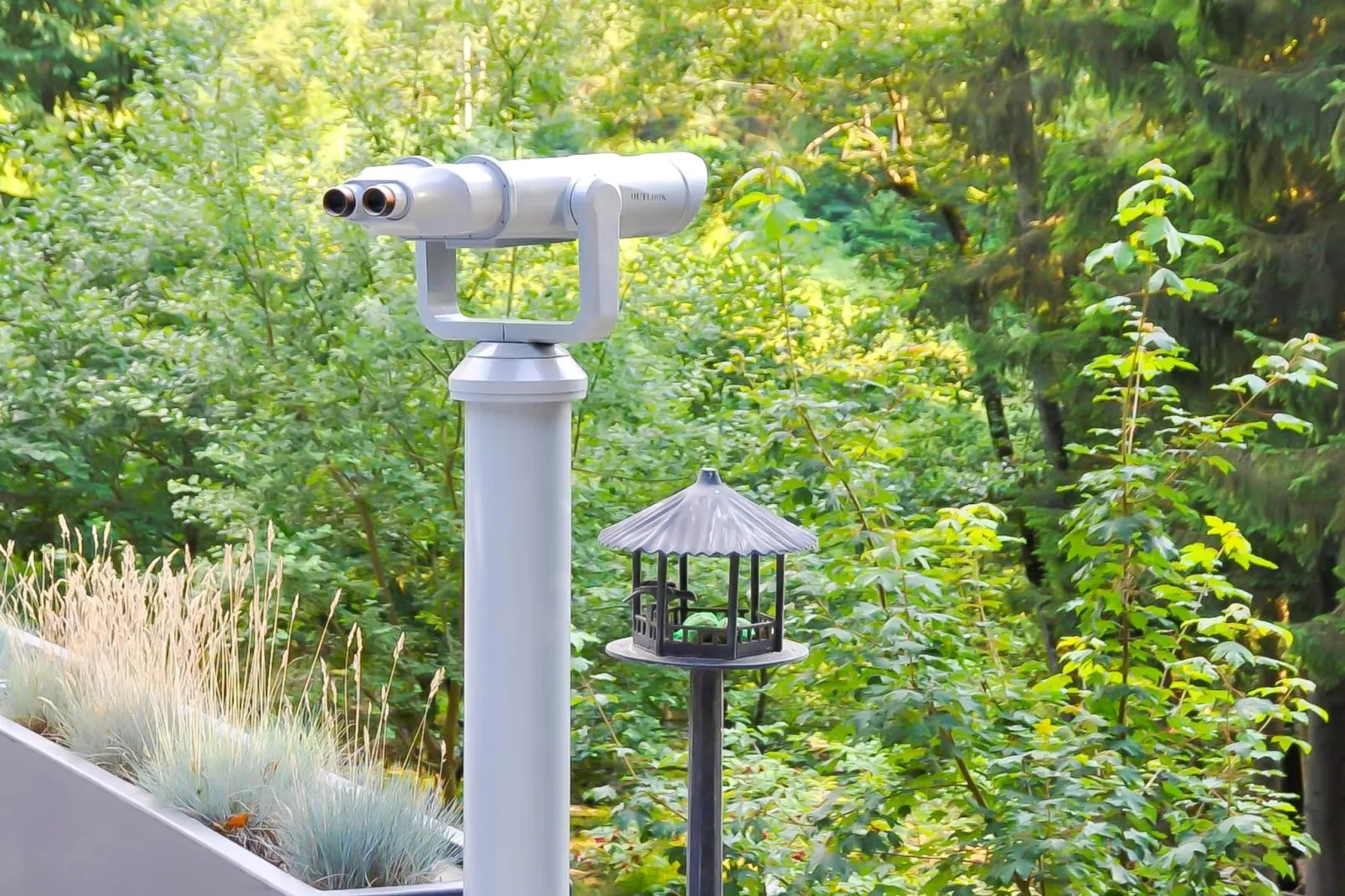 Landhuis la Forêt - Sfeer