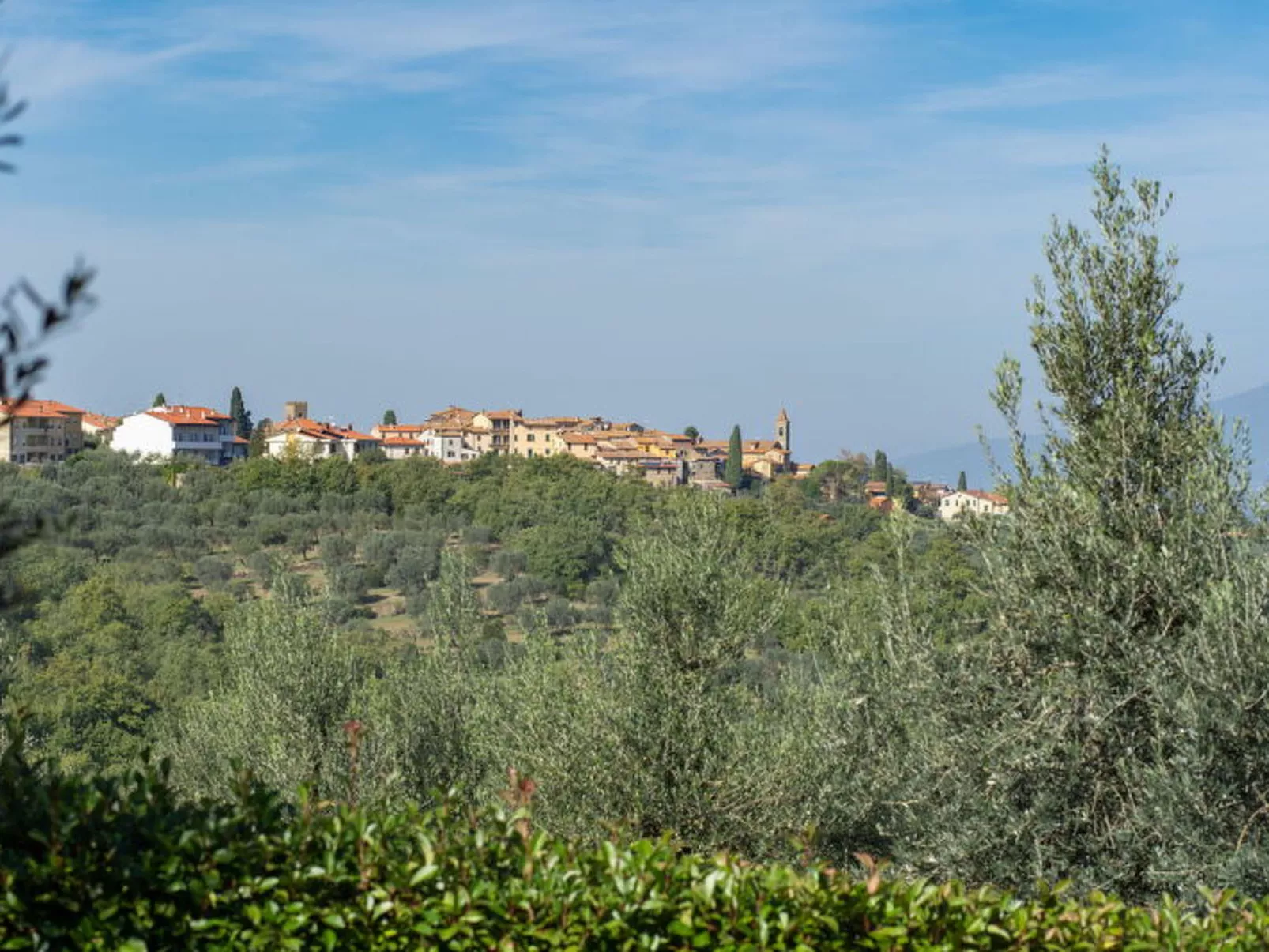 Residenza La Casuccia - Buiten