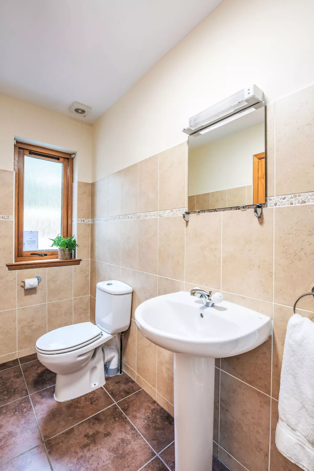 Glenmoriston Estate (2 cottages) - Binnen