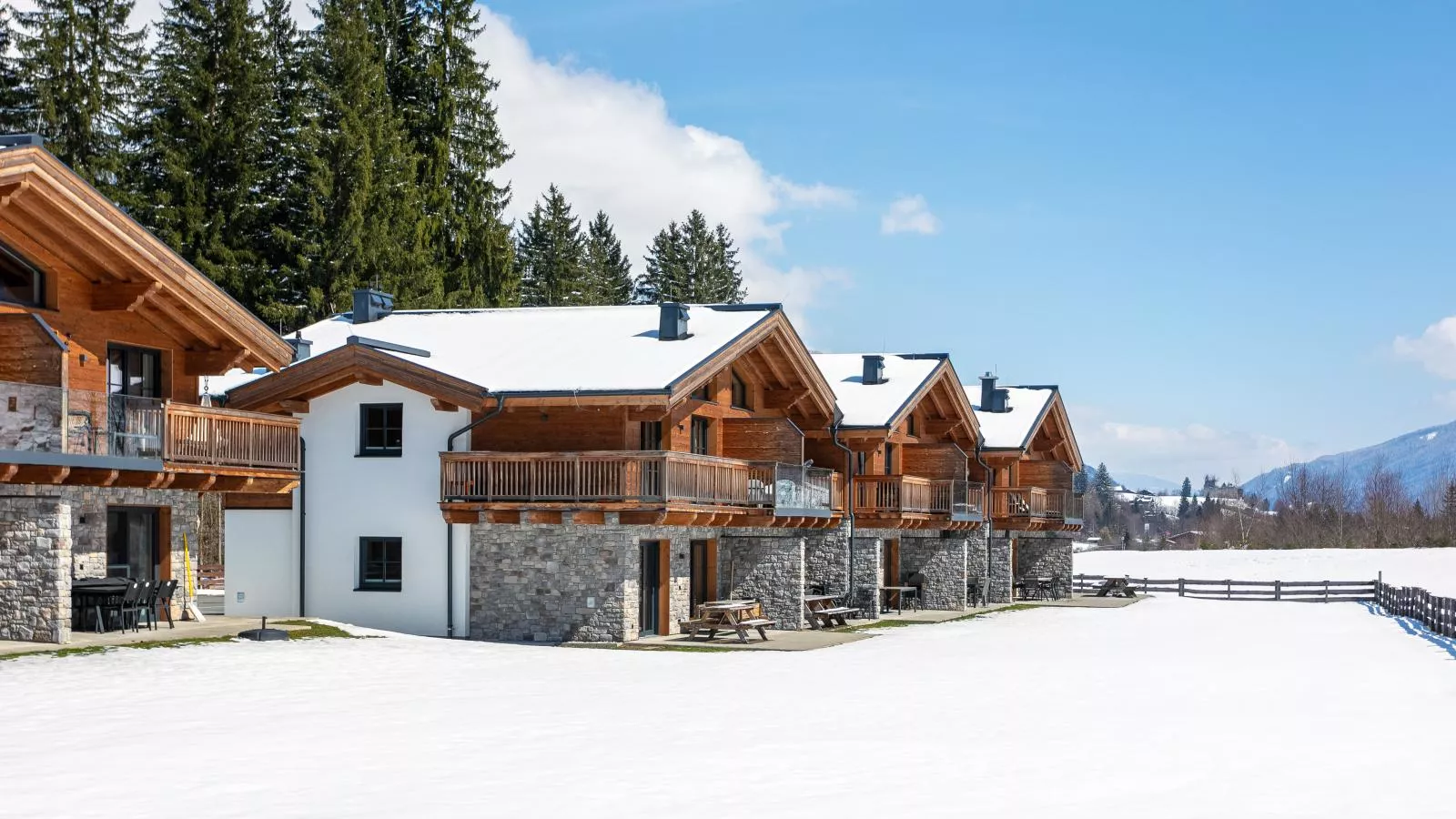 FIIF Pinzgau - Exterieur winter