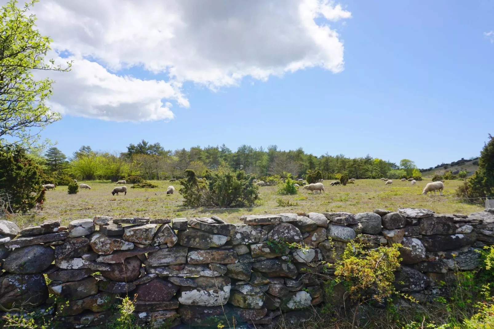 4 Personen vakantie huis in Hemse - Niet-getagd
