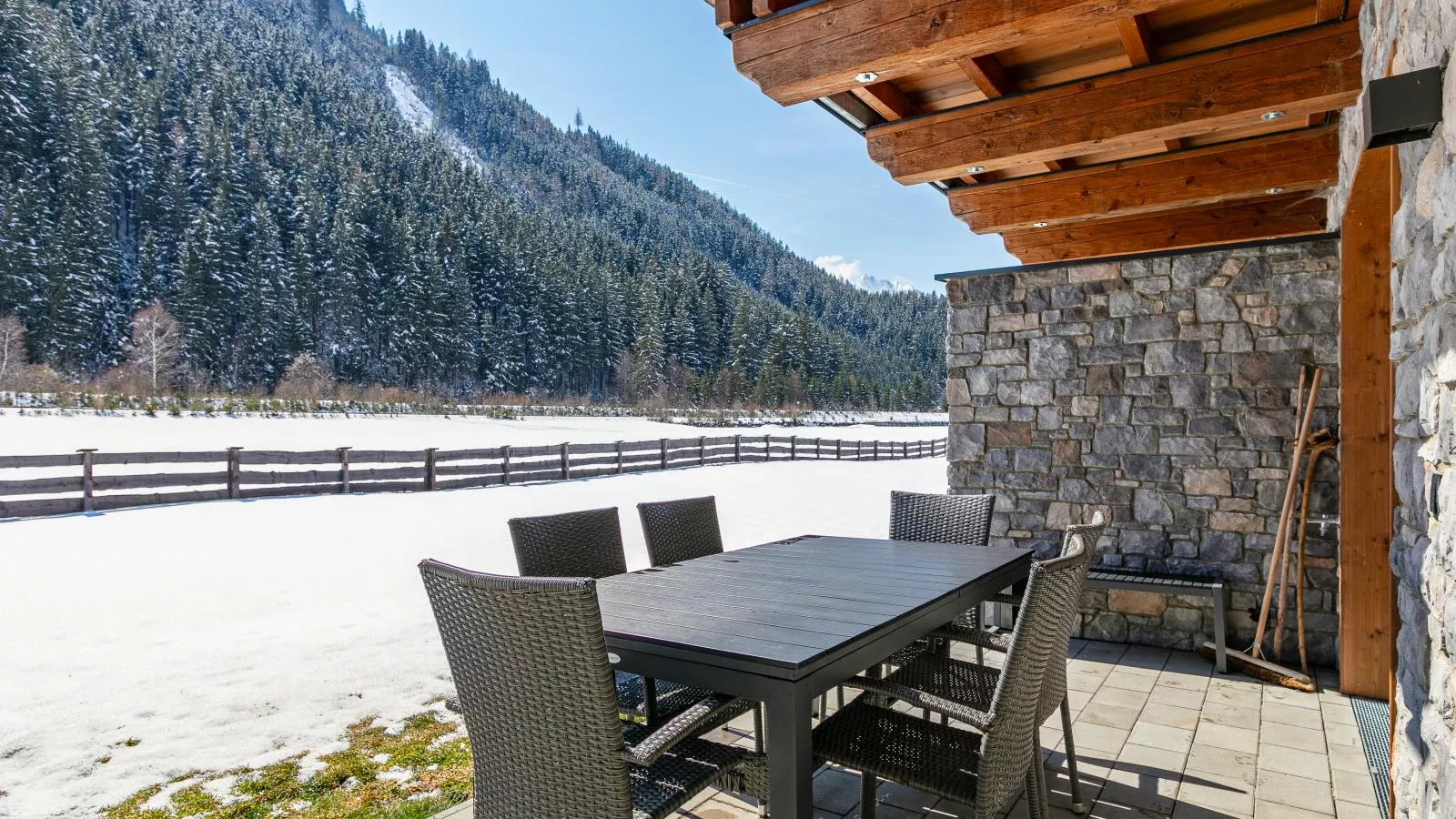 Pinzgau Lodge 2D - Tuin winter