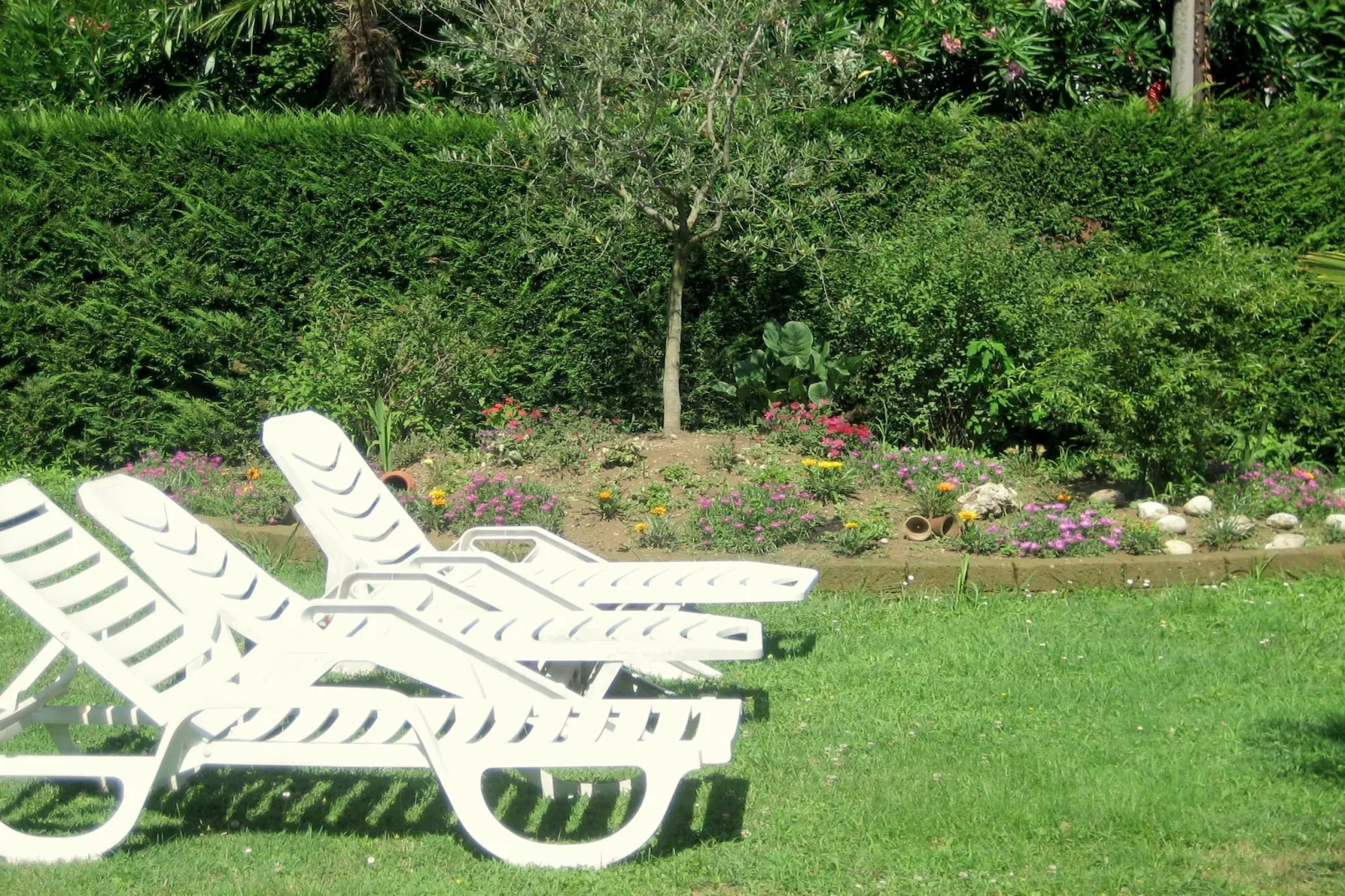 Villa Serena - Tuinen zomer