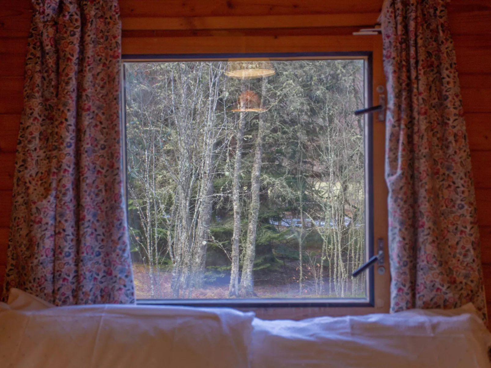 Birch Rowan Combi - Buiten