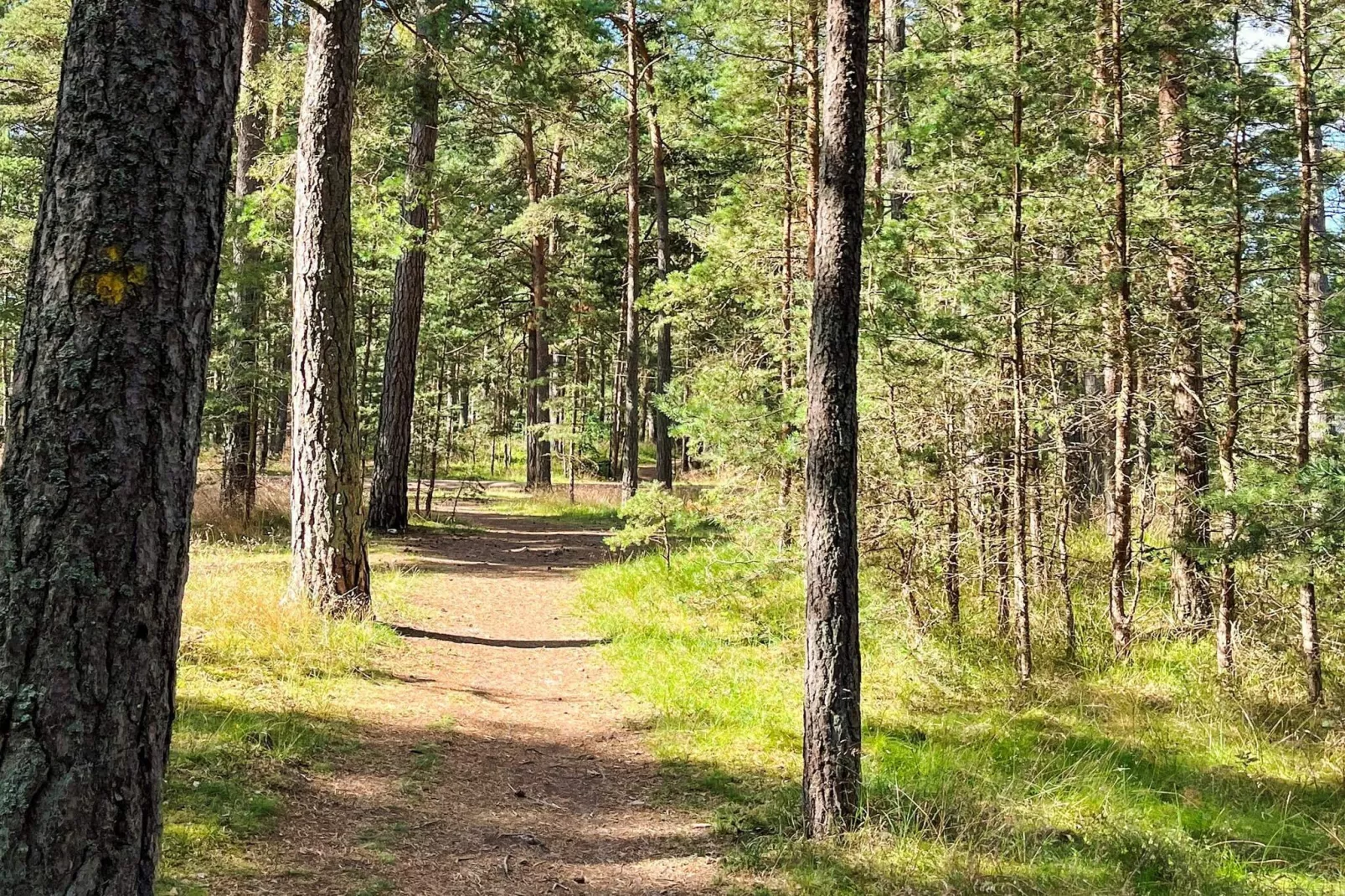 4 sterren vakantie huis in YNGSJÖ, SVERIGE - Niet-getagd