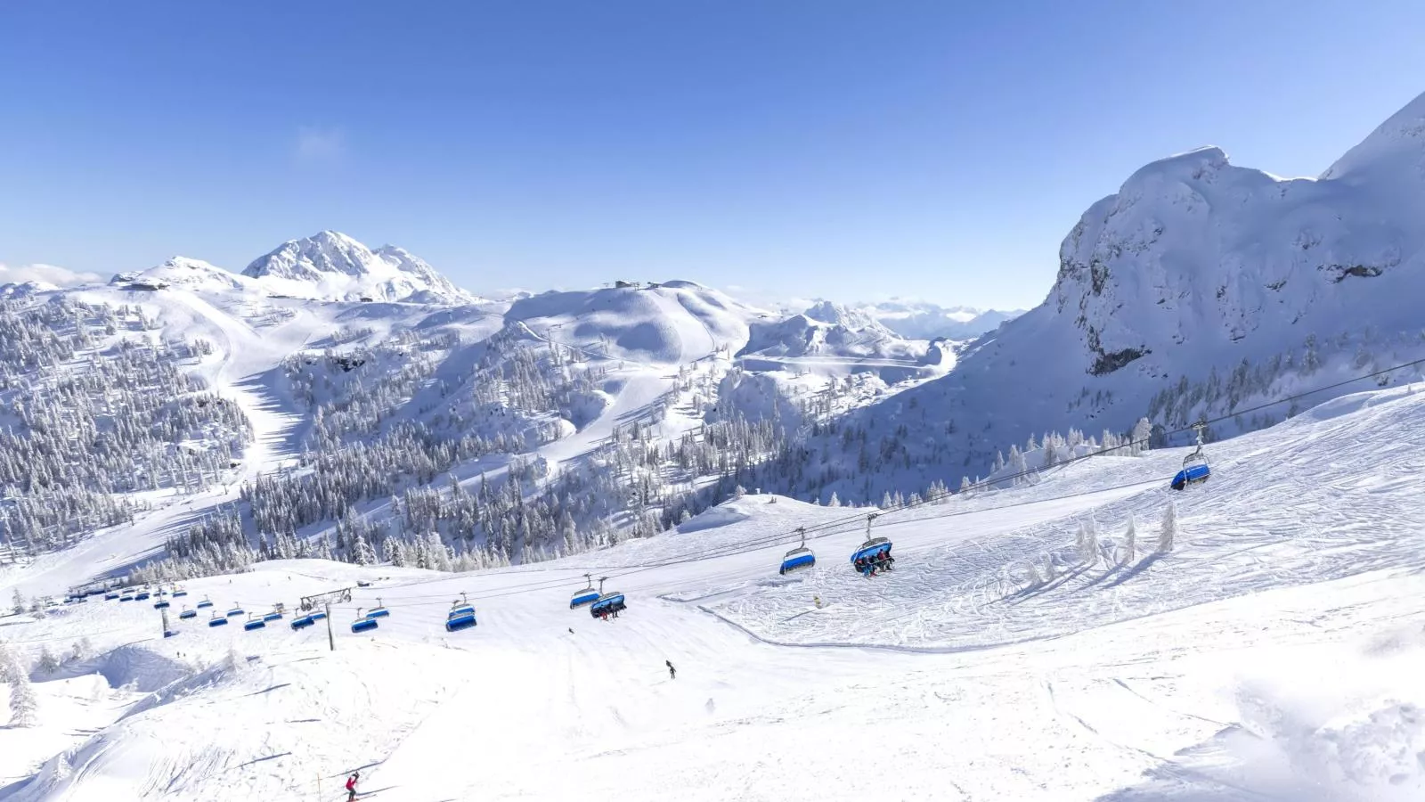 Reiteralm Top 31 - Gebied winter 5km