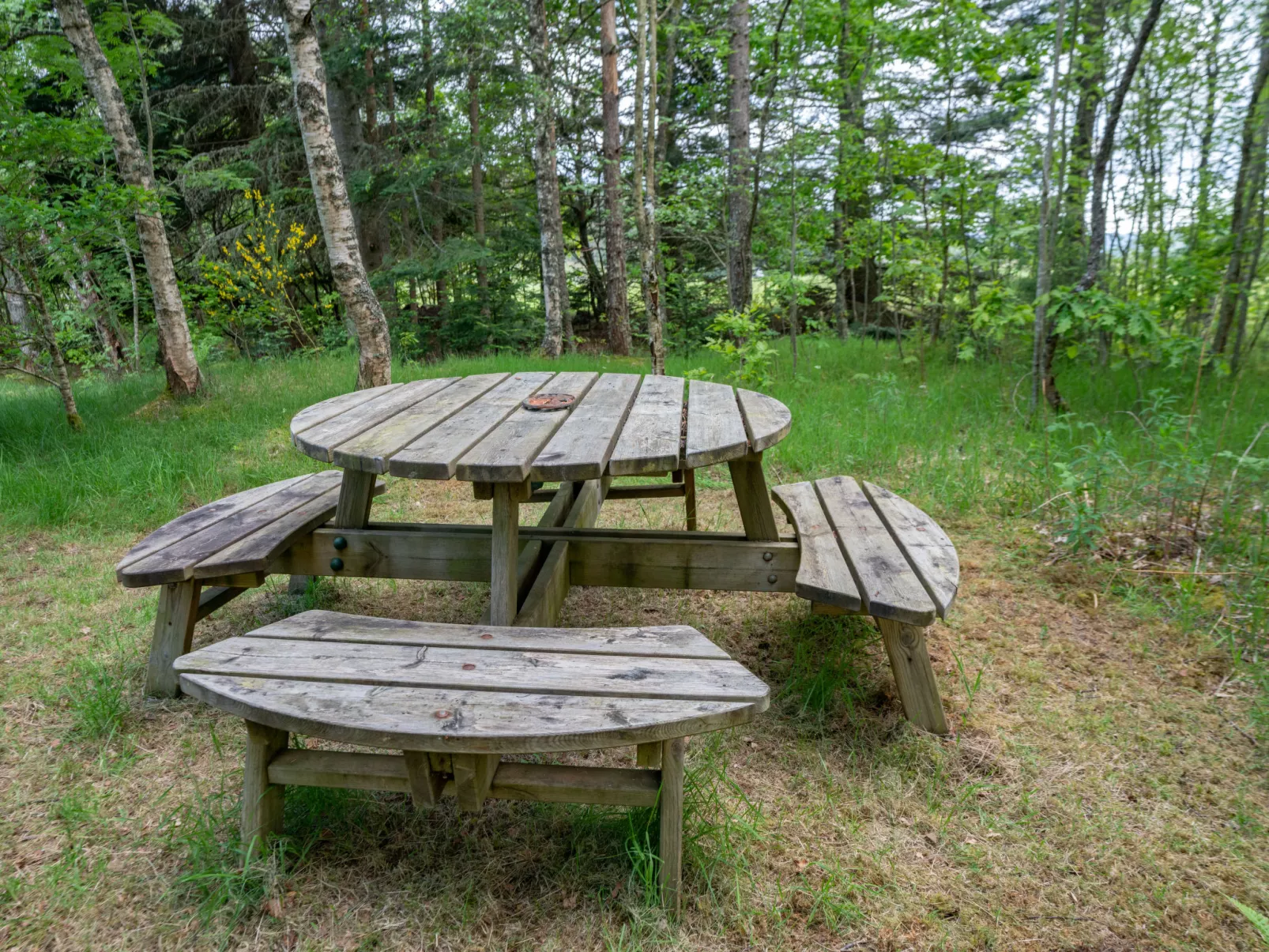 Birch Rowan Combi - Binnen