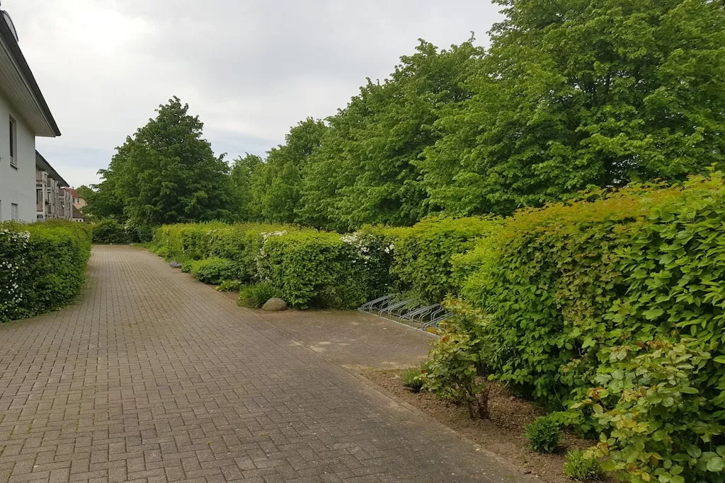 76244 - Niet-getagd
