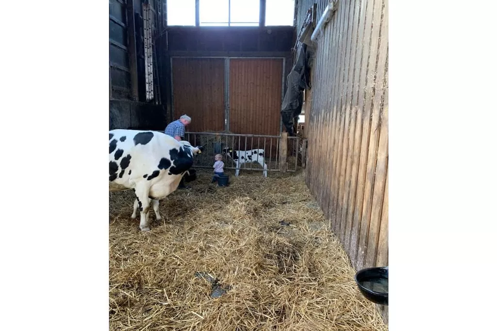 53479 - Niet-getagd