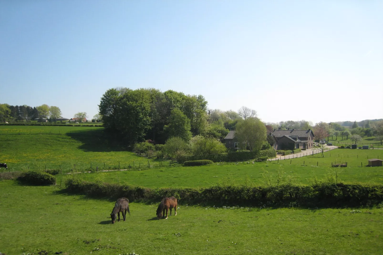 Honthem - Gebieden zomer 1km