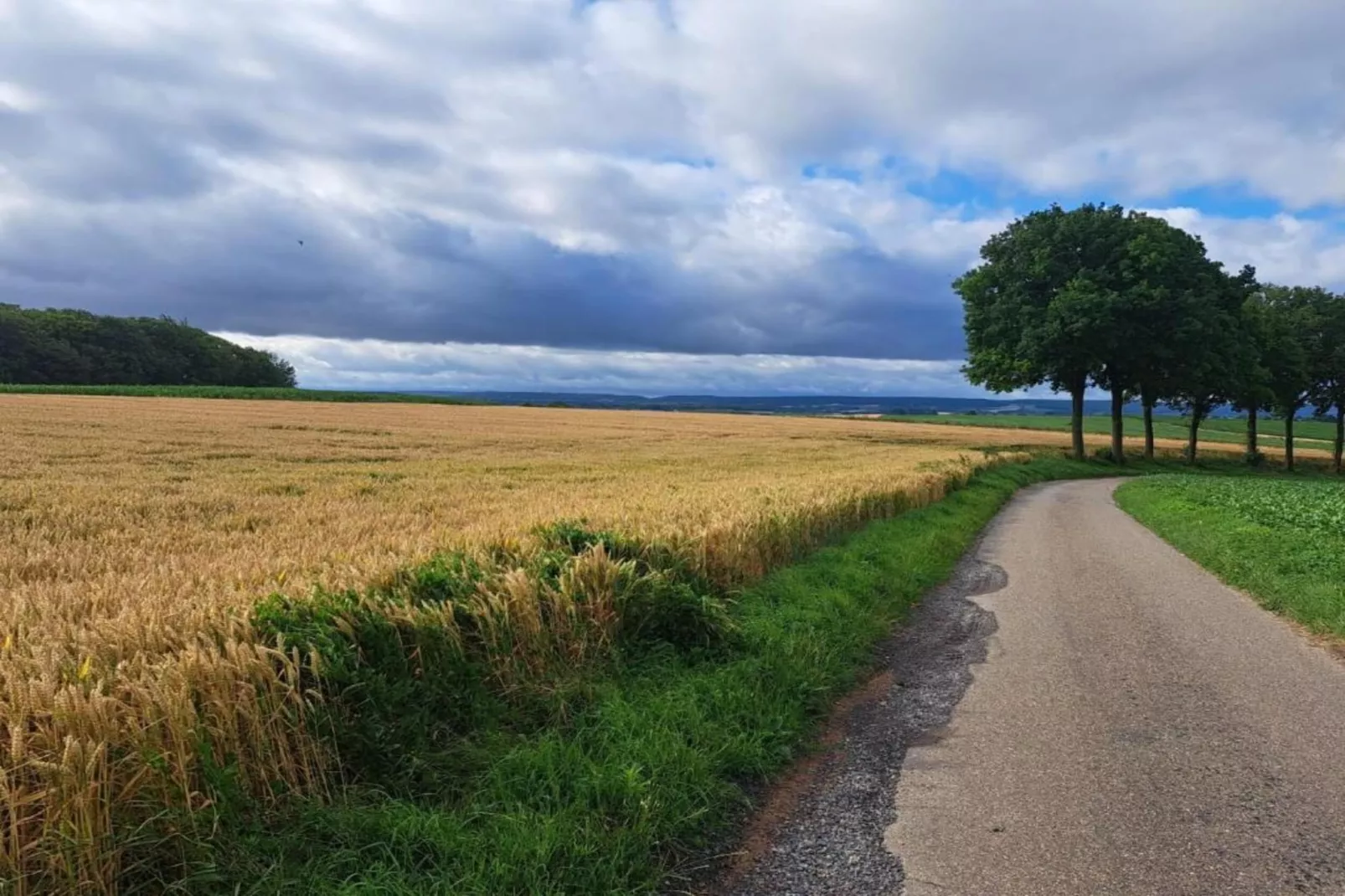Honthem - Gebieden zomer 20km