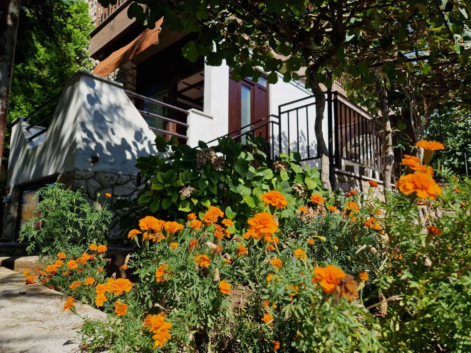 Apartment 2390 - Buiten