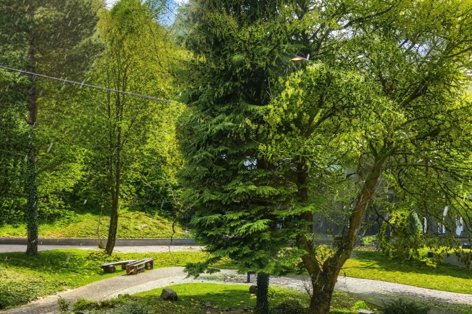 Budget Double Room - Tuinen zomer