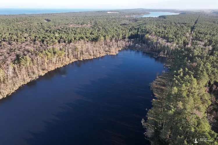 Dom wakacyjny z Klimatem Smołdziński Las - Gebieden zomer 5km