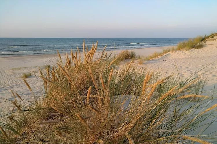 Dom wakacyjny z Klimatem Smołdziński Las - Gebieden zomer 5km