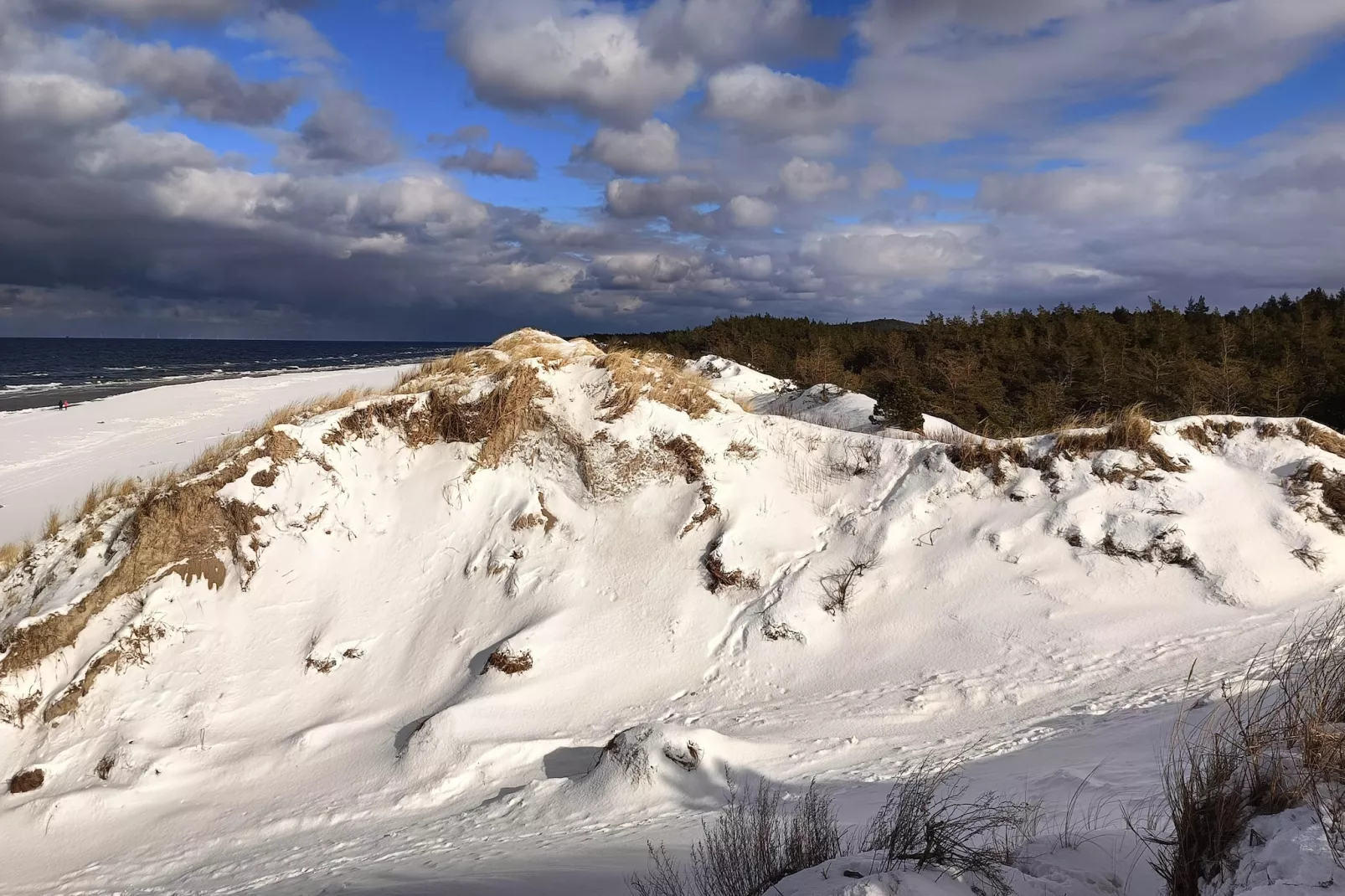 Dom wakacyjny z Klimatem Smołdziński Las - Gebieden zomer 5km