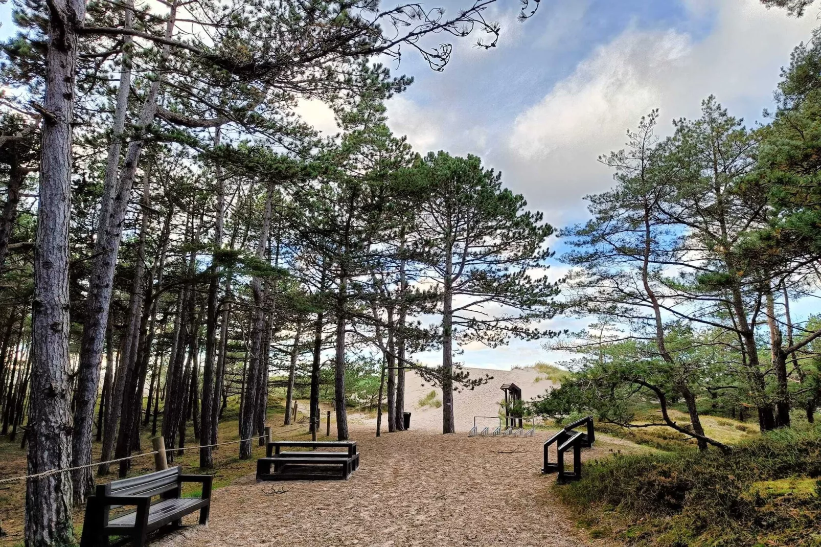 Dom wakacyjny z Klimatem Smołdziński Las - Gebieden zomer 5km