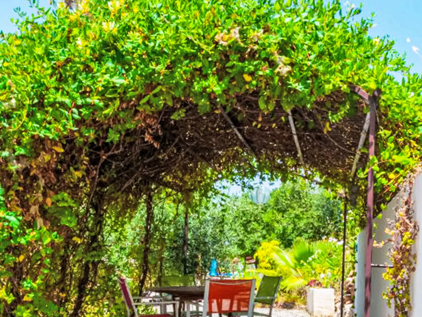 Buho - Nido Aguila Blanca - Buiten