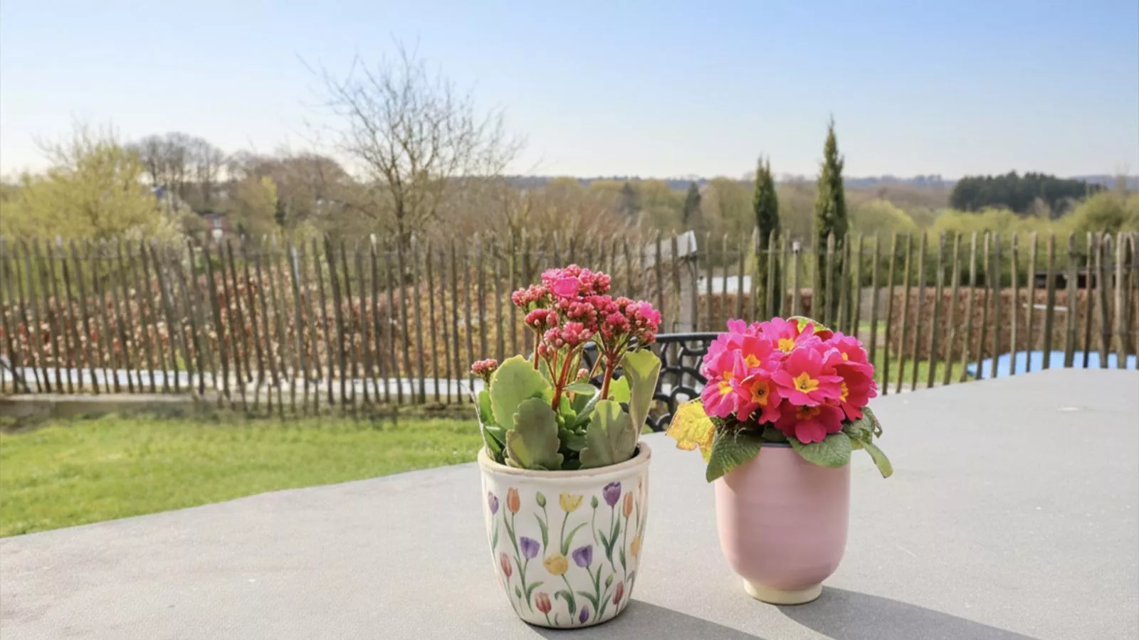 Gite de Temme - Uitzicht zomer