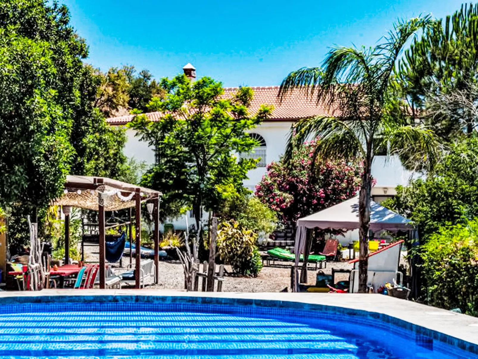 Buho - Nido Aguila Blanca - Buiten