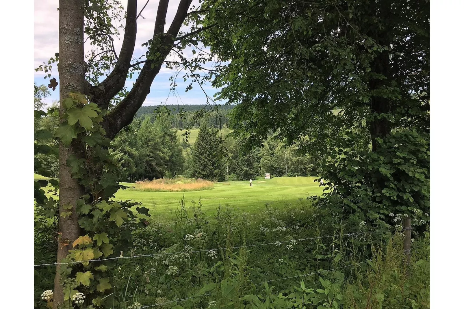 Apartment In der Büre C - Uitzicht zomer