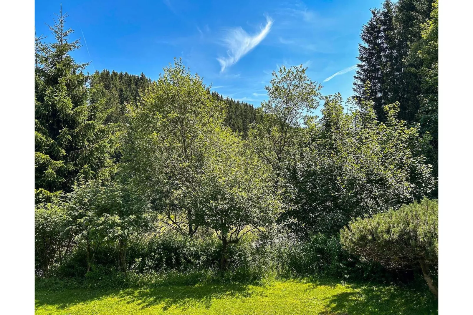 Apartment In der Büre C - Uitzicht zomer