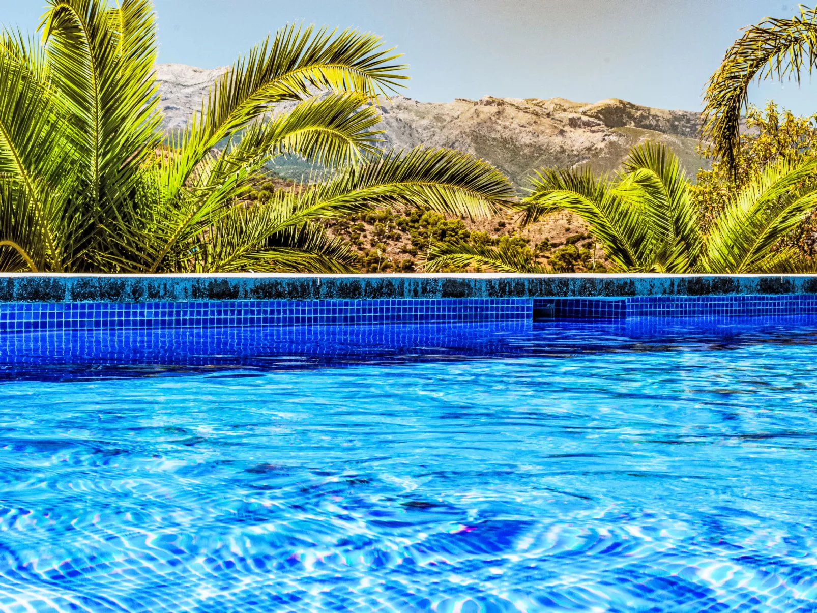 Mariposa - Nido Aguila Blanca - Buiten