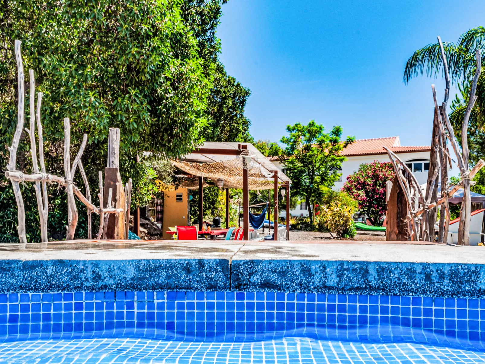 Mariposa - Nido Aguila Blanca - Buiten