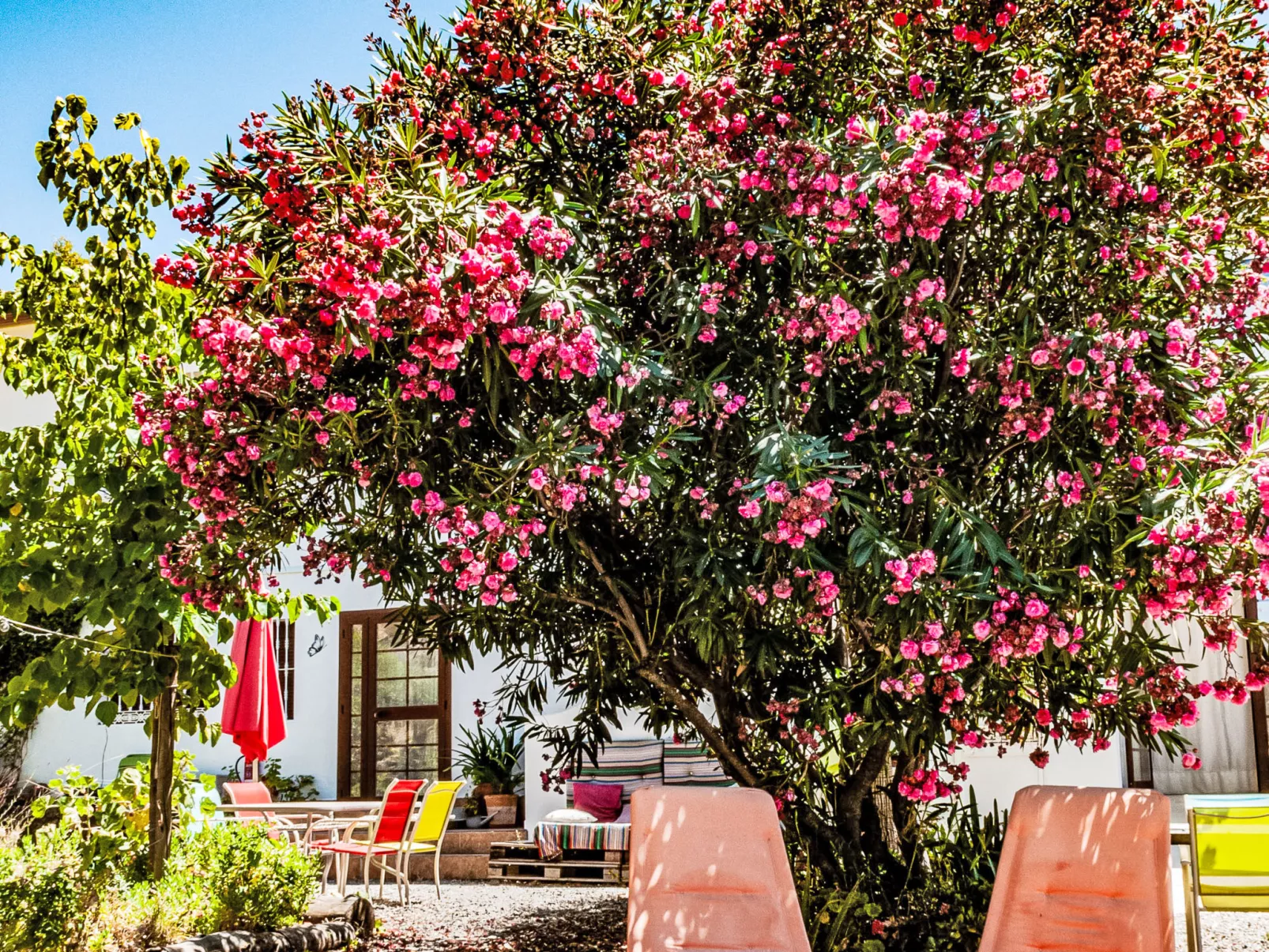 Nido Aguila Blanca - Buiten