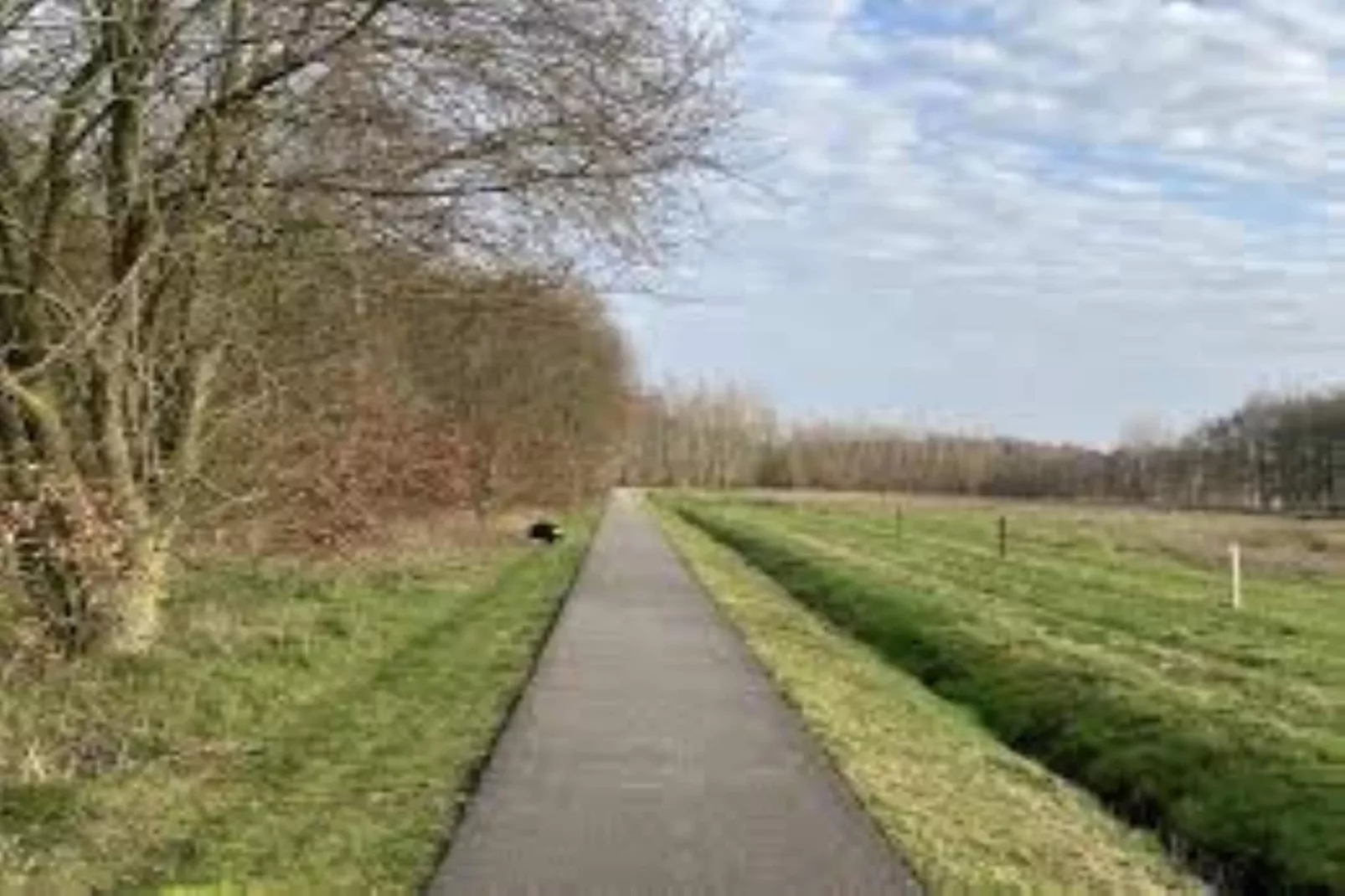 Tentlodge Partijs Wellness met sauna en prive-bad-2p - Gebieden zomer 1km