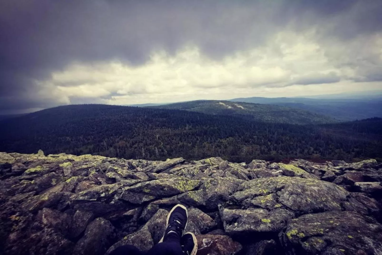 Typ A Standard - Studio Roswitha J39 - Gebieden zomer 5km